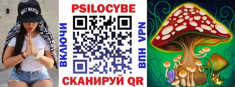 продажа наркотиков  Егорьевск  Галлюциногенные грибы Magic Shrooms 